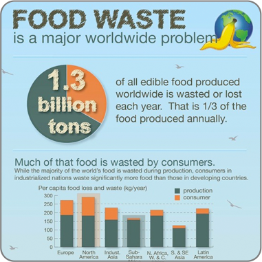 Day 9 food waste - Turning Green Classroom